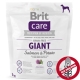 Brit Care Dog Grain-free Giant Salmon & Potato 1 kg ARCHIV