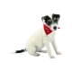 Vánoční šátek pro psa Trixie XS-S 20-30 cm ARCHIV