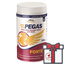 Vitar Veterinae ArtiVit Pegas Forte 7 kloubní výživa pro koně 700 g