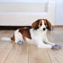 Trixie protiskluzové ponožky pro psy XS-S (2 ks)