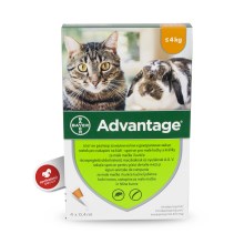Advantage spot-on 4x0,4ml pro malé kočky a králíky do 4 kg