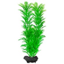 Tetra dekorativní rostlina Green Cabomba M