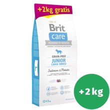 Brit Care Dog Grain-free Junior LB Salmon & Potato 12+2 kg ZDARMA