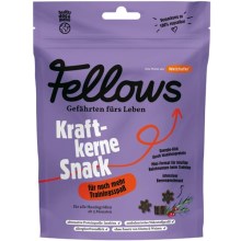 Fellows Kraftkerne hmyzí pamlsky na dodání energie 125 g