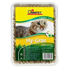 Gimcat Hy-Grass tráva pro kočky 150 g
