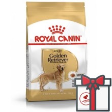 Royal Canin BHN Golden Retriever Adult 12 kg
