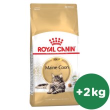 Royal Canin FBN Maine Coon Adult 10 kg