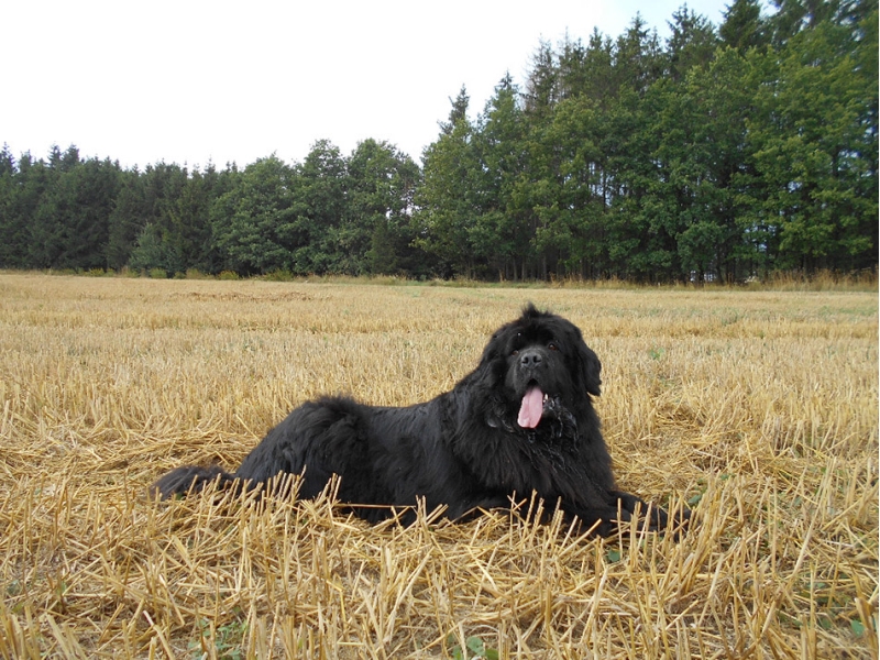 Enter The Life, majitel Michaela Šrámková