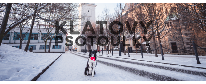 Psotoulky #92 - Klatovy