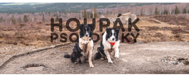Psotoulky #158 - Houpák (Psí horal)