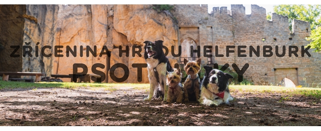 Psotoulky #222 - Zřícenina hradu Helfenburk (Psí Kronikář)