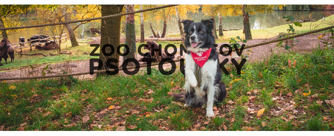 Psotoulky #194 - Zoopark Chomutov (Psí zoolog)