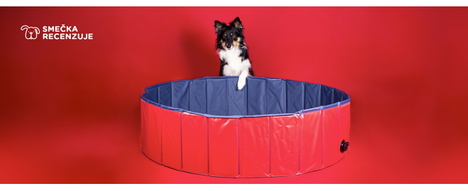 Rychlé a efektivní řešení, jak zchladit chlupáče? Psí bazén!
