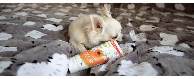 O čistý a heboučký kožíšek štěňat se postará Beaphar