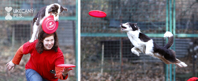 Iveta Chomátová a létající pes