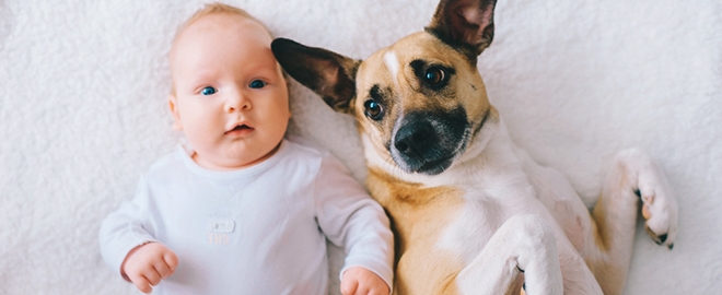 Dítě a pes v jedné rodině: spousta radosti i zážitků