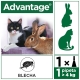 Advantage spot-on 1x0,8 ml pro kočky a králíky nad 4 kg