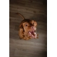Almi Medium Adult 3 kg