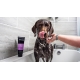 Animology Flea & Tick šampon 250 ml