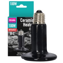 Arcadia Ceramic Heater 100 W