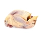 Bohemia Wild Adult Pheasant 10 kg