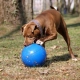 Boomer Ball plastový míč MIX barev 15 cm