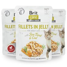 Brit Care Cat kapsička Fillets in Jelly with Trout & Cod 85 g SET 5+1 ZDARMA