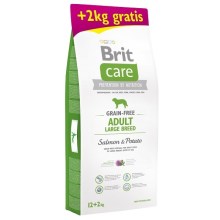 Brit Care Dog Grain-free Adult LB Salmon & Potato 12+2 kg ZDARMA