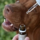 Cure Point CBD olej s příchutí kuřete 5% 10 ml