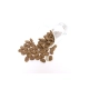 Doxneo 2 Lamb 12 kg ARCHIV