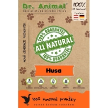Dr. Animal 100% masové proužky husa 80 g