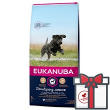 Eukanuba Junior Large Breed 15 kg