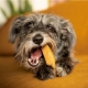 Explorer Dog himálajský pamlsek vel. S