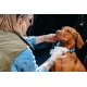 Explorer Dog přírodní vlhčené ubrousky pro psy (40 ks)