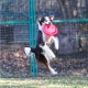 Fastback frisbee Spokojeného psa červené 23,5 cm