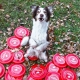 Fastback frisbee Spokojeného psa červené 23,5 cm