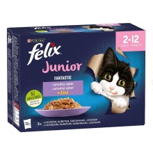 Felix Fantastic Junior Multipack masové receptury 12x 85 g