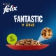 Felix Fantastic Multipack masové a rybí receptury v želé 120x 85 g