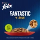 Felix Fantastic Multipack masové a rybí receptury v želé 44x 85 g