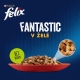 Felix Fantastic Multipack masové receptury v želé 80x 85 g
