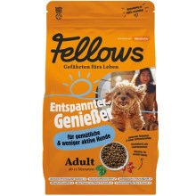 Fellows Pohodový gurmán hmyzí granule 2 kg