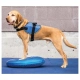 FitPaws balanční čočka modrá 36 cm