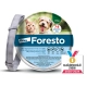 Foresto obojek pro kočky a malé psy 38 cm