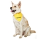 Funky Dog šátek žlutý Nesahat XL