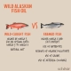 Grizzly Salmon Oil Plus pro psy 250 ml