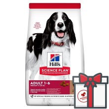 Hill's SP Dog Adult Medium Lamb & Rice 18 kg