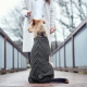 Hunter Mälmo svetr pro psy 35 cm šedý