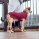 Hunter Mälmo svetr pro psy 35 cm vínový