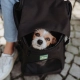 Hunter Miles batoh do letadla černý 45 cm