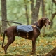 Hurtta Expedition Pack ECO batoh ostružinový 75-95 cm